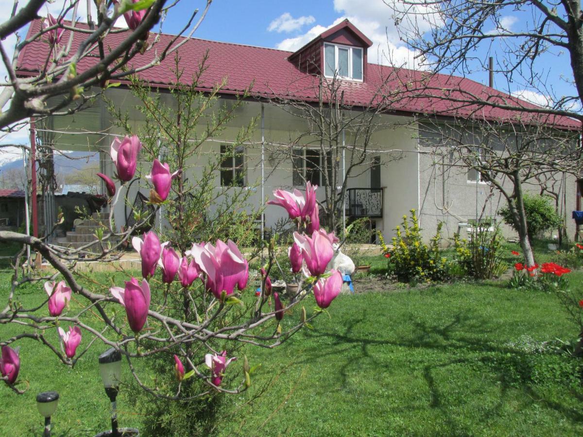 Guest House Melissa Duisi Exterior photo